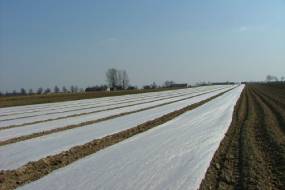 Máquinas para cubrir plantas con film y agrotextil